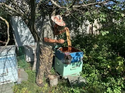 В деревне лимоновка открылась новая пасека