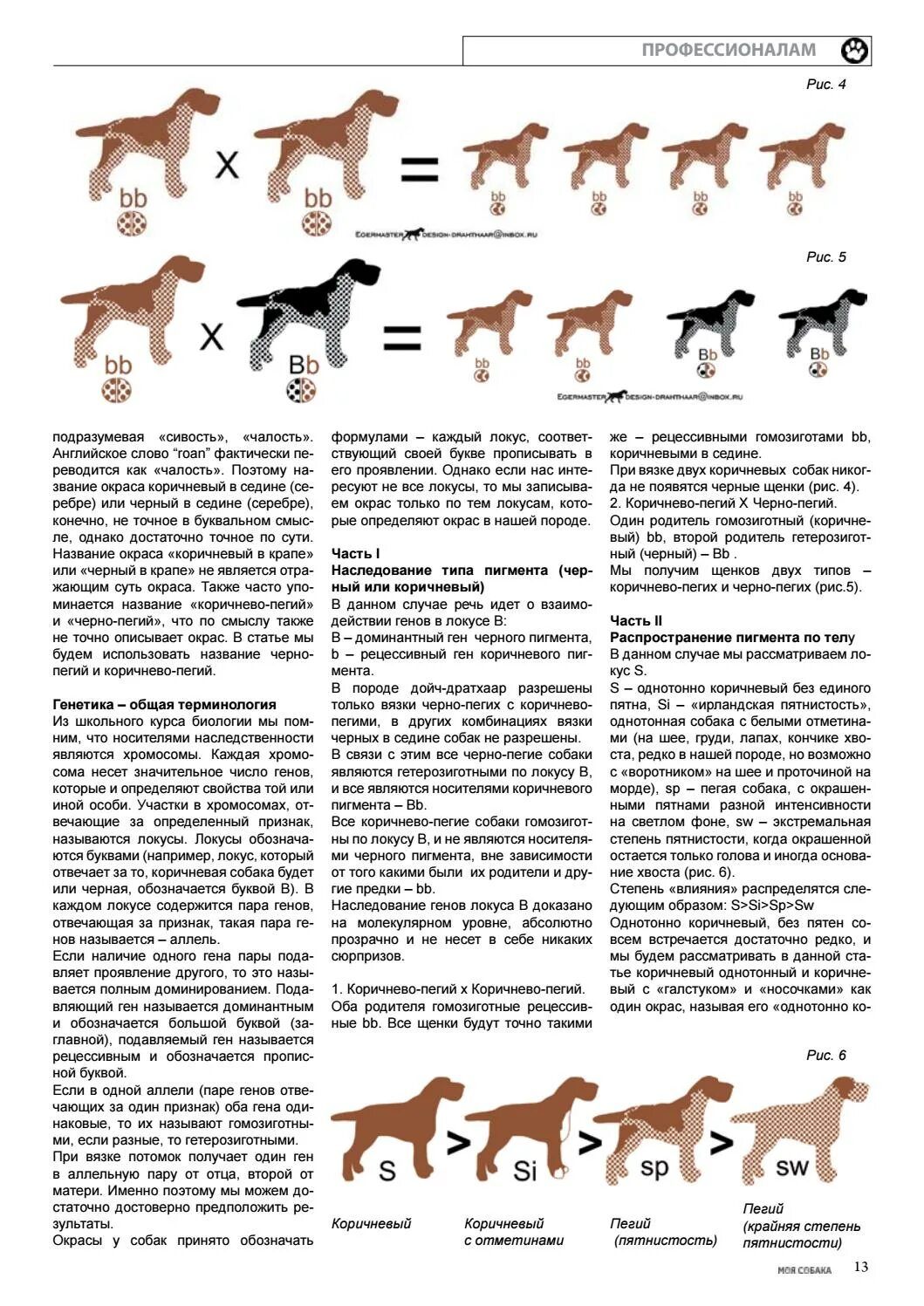 Вязка собак. Как определить вязку собаки. Шампунь для собак своими руками. Окрасы собак названия. Анонс вязки собак.