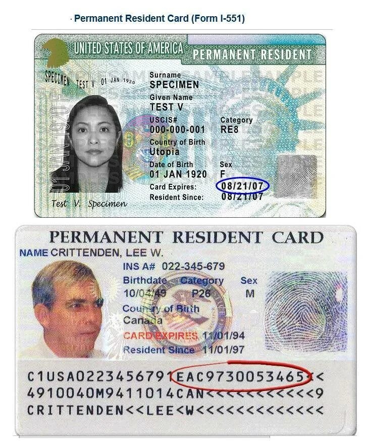 Green Card как выглядит. Грин кард и виза США. Вид Грин карты виза. United States permanent Resident Card.