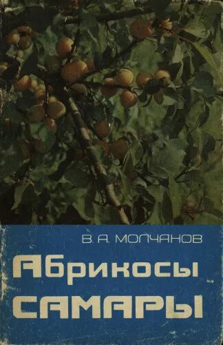 Абрикос шалах. Книга и абрикос. Абрикос книги. Абрикос книги. Абрикос книги.