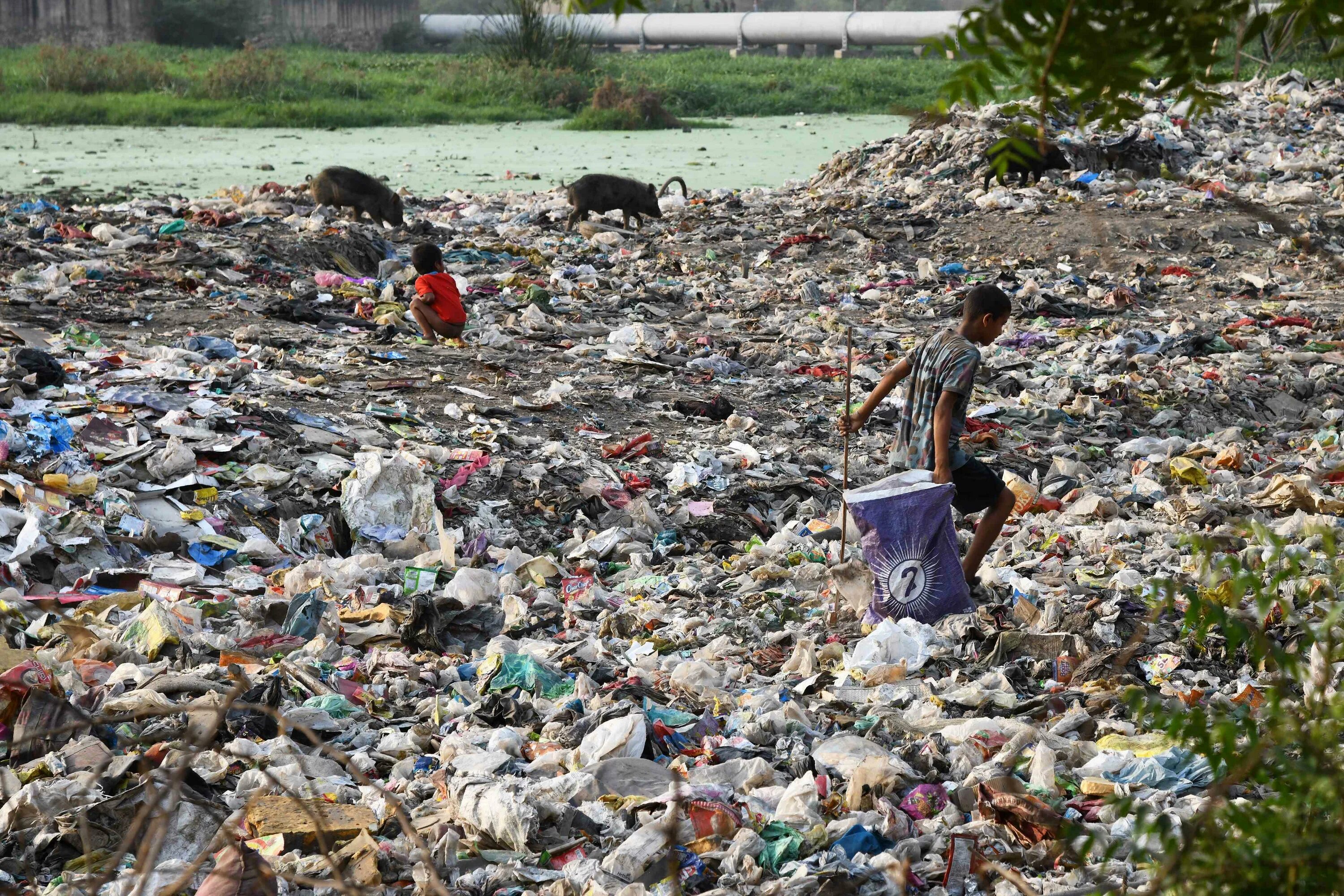 Нью Дели трущобы. Нью Дели мусорная гора. Свалка в Индии Нью Дели.