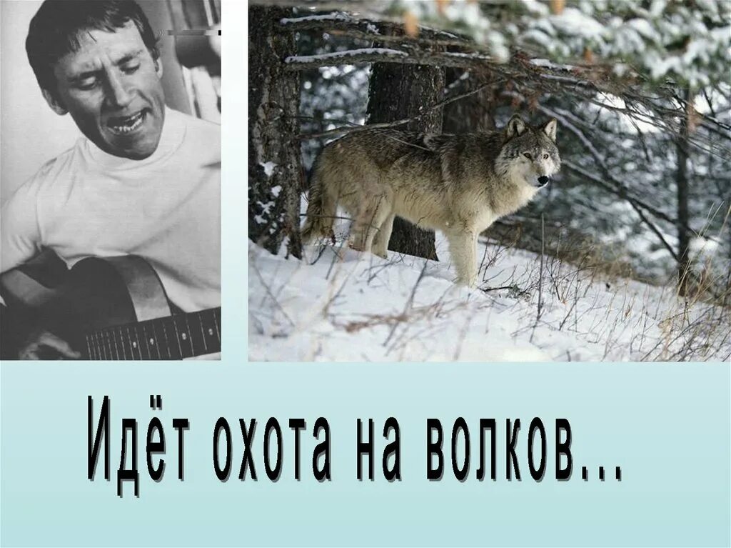 Идёт охота на Волков Высоцкий. Высоцкий волки. Охота на Волков Высоцкий. Идет охота высоцкий слушать