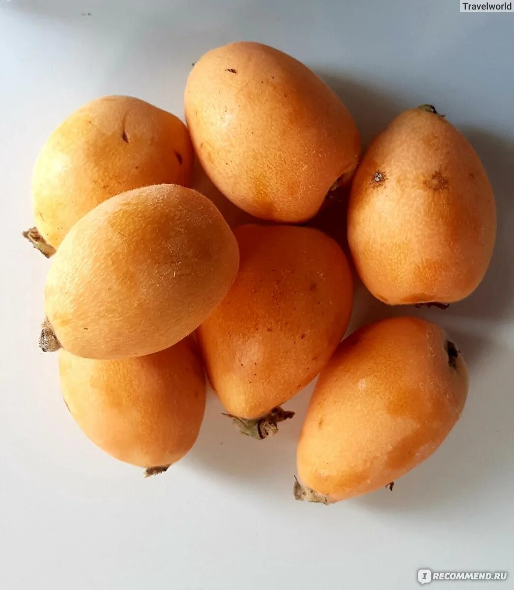 Абрикос шарафуга. Смесь для кальяна brusko 50г. Смесь абрикоса. Слива плумкот триумф. Дерево смесь абрикоса и сливы.