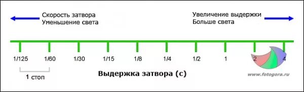 Выдержка информация