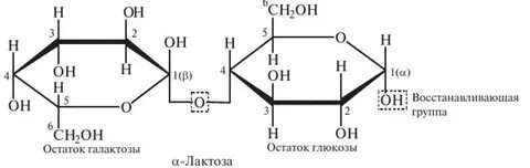 Глюкоза лактоза целлюлоза относятся к