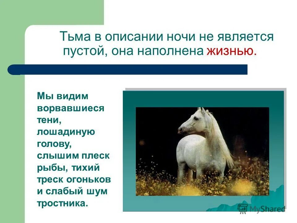 описание ночи пример. сияла ночь луной был полон сад фет. ван гог звёздная ночь описание картины. звездная ночь над роной в музее. майская ночь.