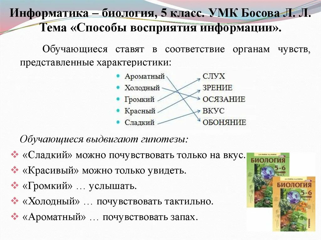 Урок биология информатика