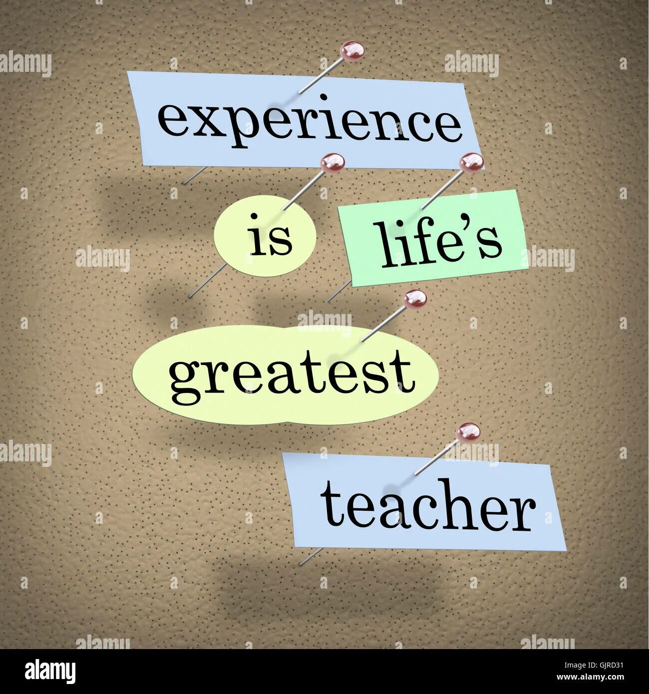 Life experience. Life experience рисунка. Experience is a great teacher. Experience is. My own life