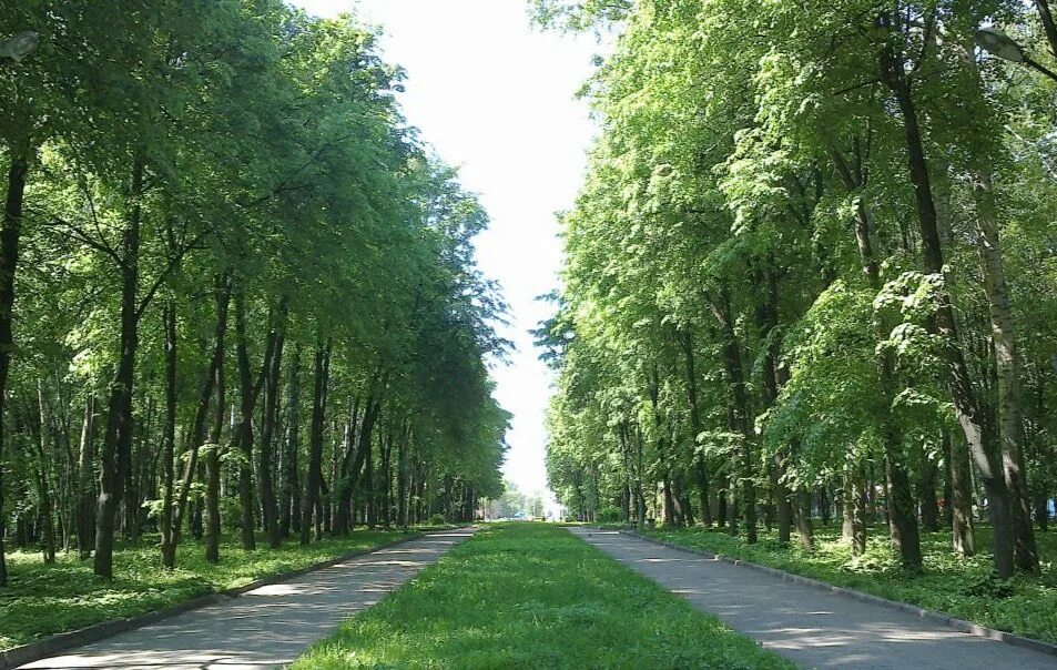 Центральный парк культуры и отдыха рюмина роща. Парк цкпо рязань. Центральный парк культуры и отдыха рюмина роща. Парк цпкио рязань. Парк имени гагарина рязань.