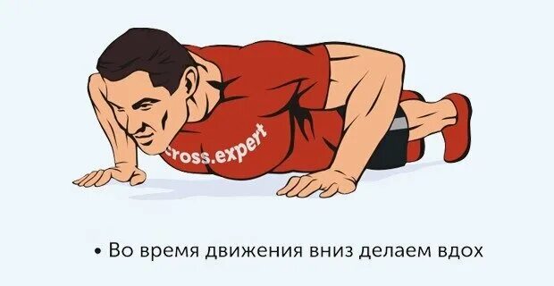 Правильное выполнение отжиманий. Техника дыхания при отжиманиях. Техники отжиманий от пола. Отжимание выдох. Отжимание выдох.