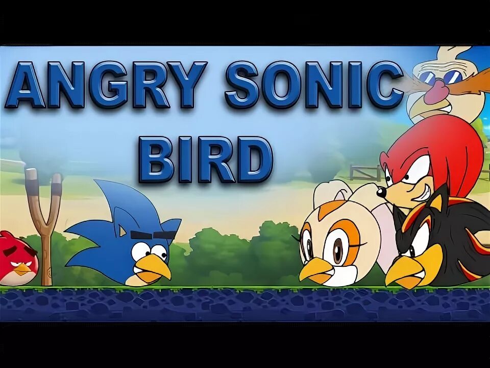 Соник и Angry Birds. Sonic Энгри бердз. Angry Birds Sonic the Hedgehog. Angry Birds против Соник.