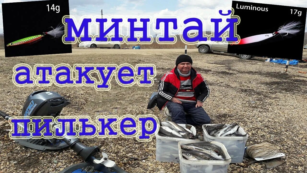 Минтай авангард. Пилкера на морскую рыбалку на минтая. на что ловится минтай в приморье.