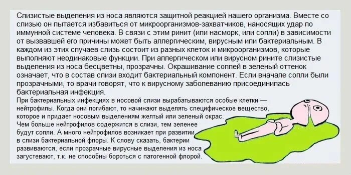 Можно ли проглатывать мокроту. Почему появляются сопли. Состав соплей у человека.