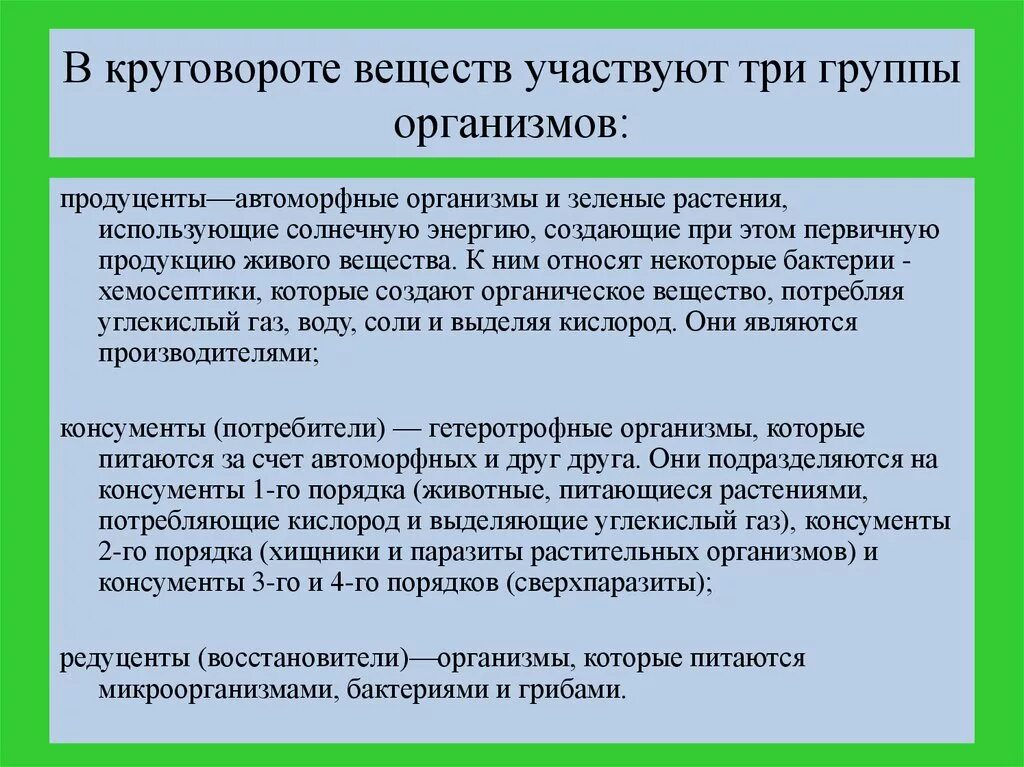 Какие организмы участвуют в круговороте веществ