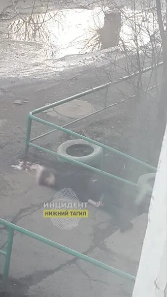 Выпал из окна нижний тагил. Девушка выпала из окна нижний тагил 2022. Нижний тагил выпала из окна. Ленинградский проспект 33 нижний тагил. Девушка выпала из окна больницы владивосток.