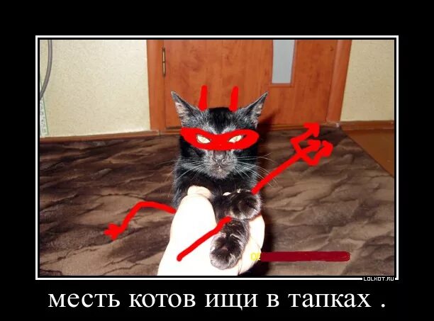 Мстя картинки. Месть кота. коты мстят. смешная месть. кот мстит.