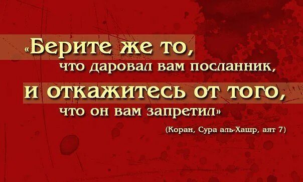 Хадисы про суры. Аяты из Корана. Аяты Корана о жизни. Хадисы и аяты из Корана. Красивые цитаты из Корана.