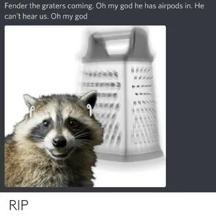 🐣 25+ Best Memes About Raccoon Cheese Grater Meme Raccoon Ch
