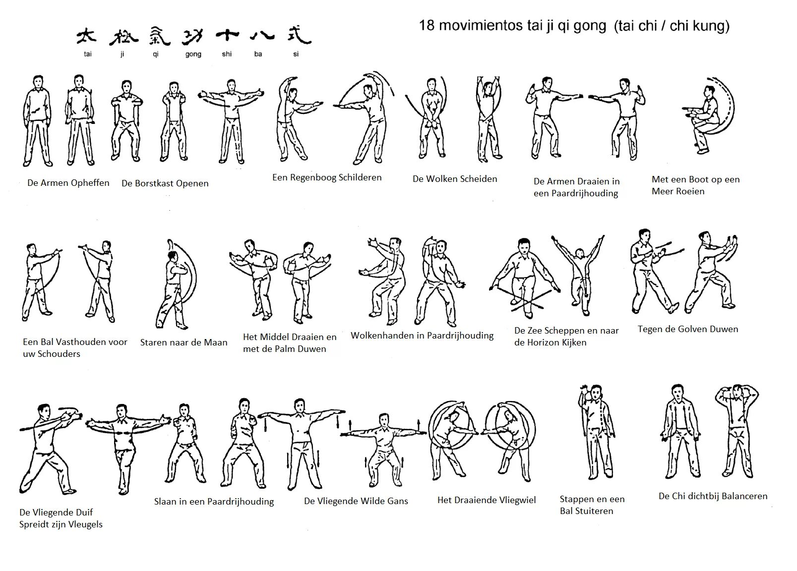 Тайцзи 18. Комплекс упражнений Тайцзи цигун. Гимнастика Тайцзи цигун 18 форм. Комплекс 24 формы Тайцзи цигун. Тайцзи цигун 18 формы упражнения.