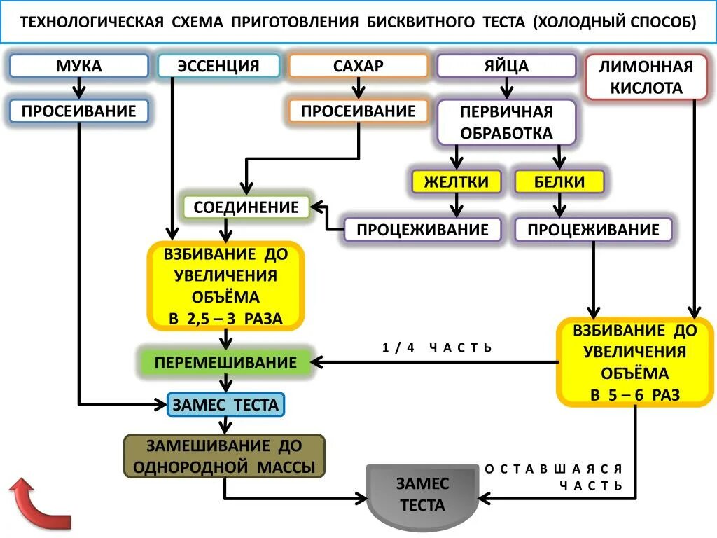 Технологическая карта бисквита. Составить технологическую схему приготовления бисквитного теста. Технологическая схема приготовления бисквита холодным способом. Технологическая схема бисквитного полуфабриката. Технологическая схема производства бисквитного теста.