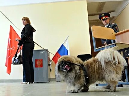 На избирательном участке была зафиксирована внештатная ситуация