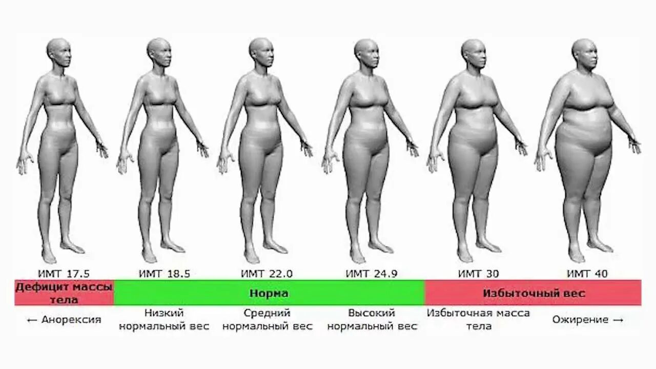 Ожирение первой степени индекс массы тела. Нормальное тело. Ожирение первой степени у женщин. Стадии ожирения у женщин.