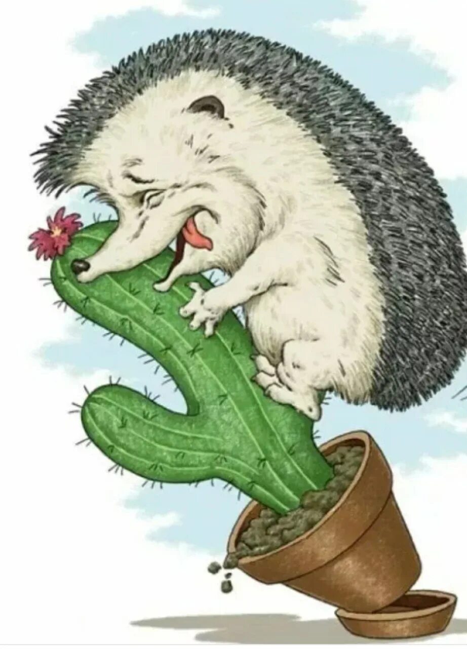 Ежики кололись но продолжали есть. Ежи плакали кололись. ежик и кактус. ёжик кололся но продолжал есть кактус. ёжики плакали кололись но продолжали.