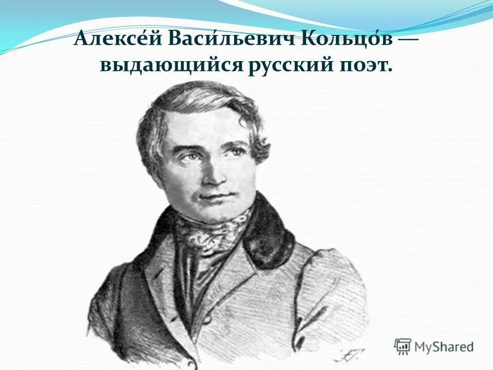 Портрет Кольцова. Портрет Алексея Кольцова.