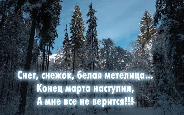 Доброе снежное мартовское утро. Конец зимы. Доброе утро конец зимы с надписями.