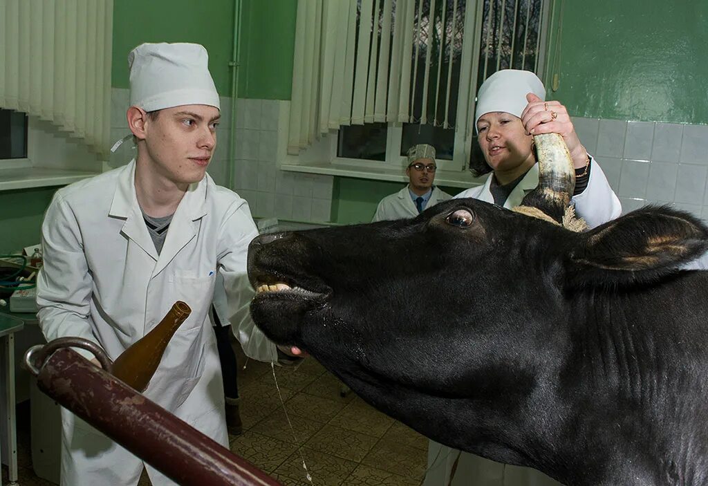 Усенко КГАВМ. АГАУ ветеринарный Факультет. Никитин КГАВМ. Виварий Академия Скрябина.