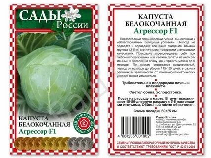 Капуста сорт агрессор