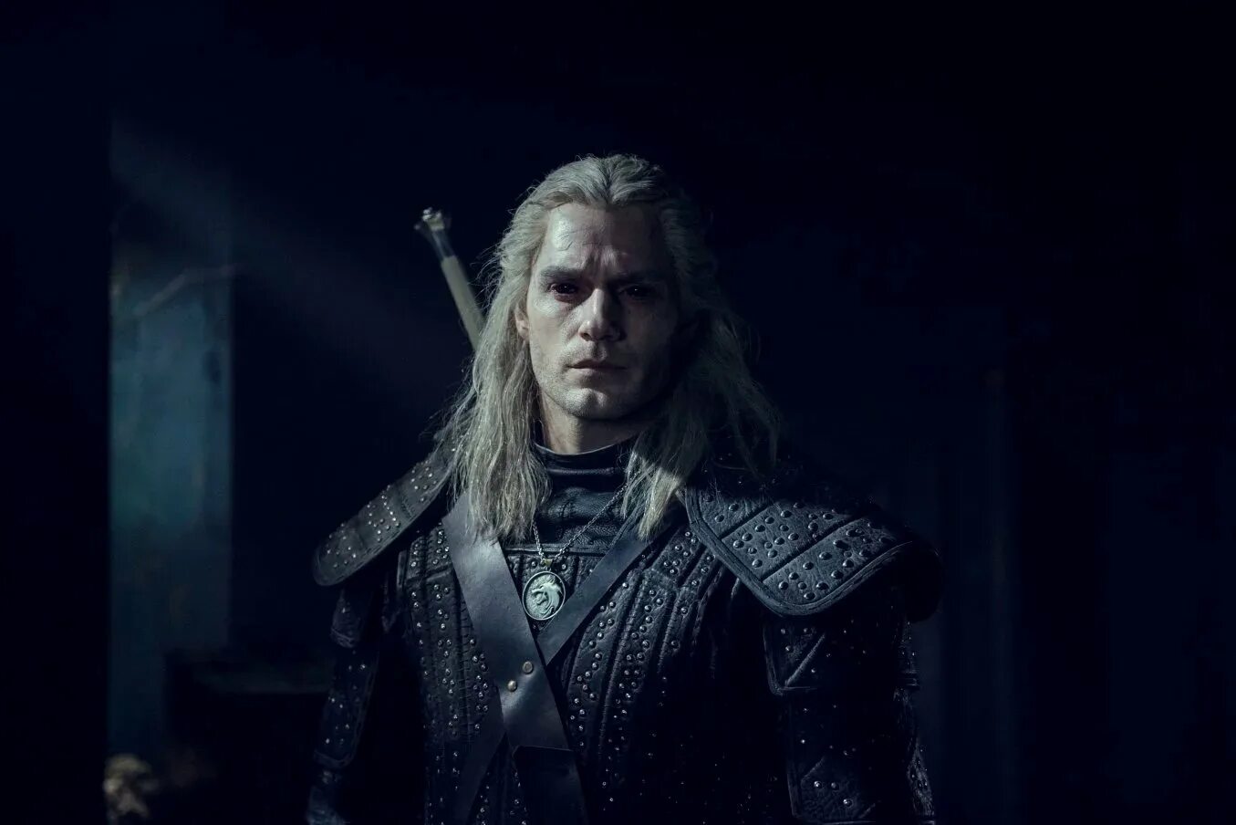 The witcher series