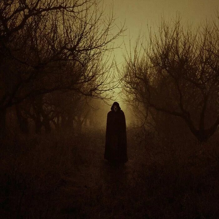 Мрачный никто. Черный монах Алешкинский лес. Мрак одиночество. Темный силуэт в лесу. Человек во мраке.