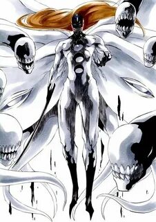 True hogyoku type soul