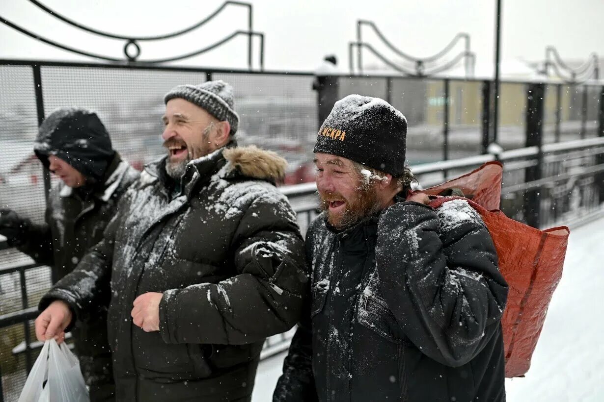 Кошка на улице зимой. Костер зимой в лесу. Зимний домик бездомным кошкам на даче. Бездомные собаки зимой на улице. Замерзшие коты.