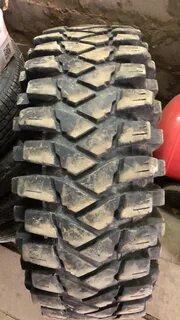 Alligator шины