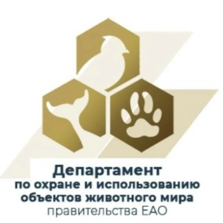 министерство по охране животных. департамент по надзору и контролю жкх малышева, 101.