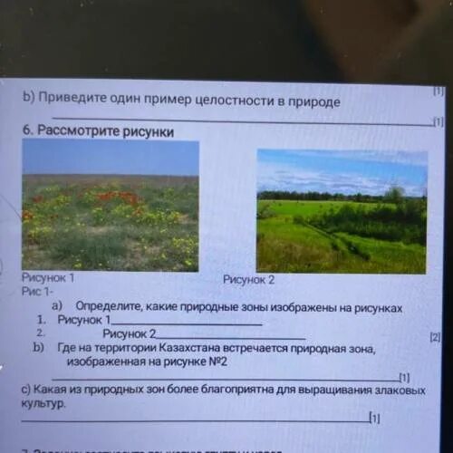 Какая природная зона изображена на рисунке. Фрагмент какой природной зоны изображен на рисунке. Какая природная зона изображена на картинке. Определите природную зону изображенных. По карте определите в каких природных условиях