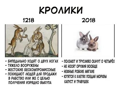 Как звали крольчиху