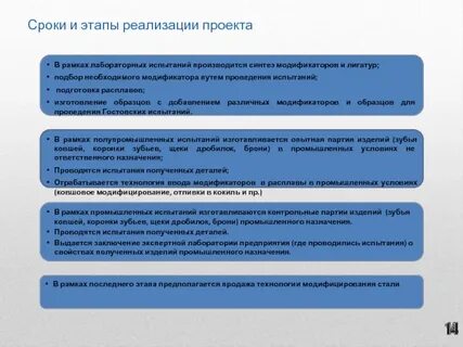 Сроки и этапы проекта
