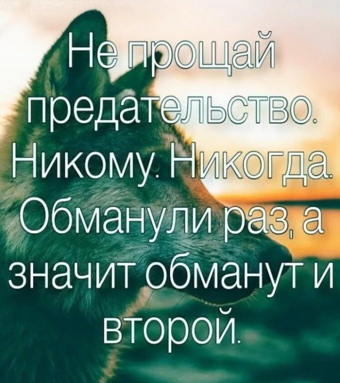 Никого никогда не обманывал