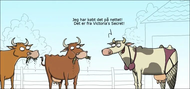 Прикол про корову. Корова карикатура. шутки про коров. karikatury pro korovu. корова прикол.