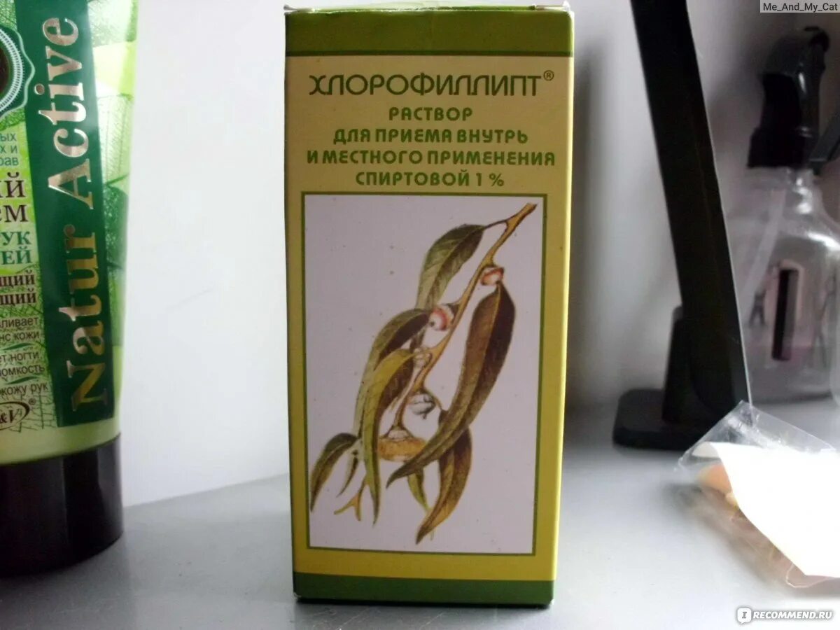 Хлорофиллипт ребенку форум. Хлорофиллипт спиртовой вифитех. хлорофиллипт раствор вифитех. хлорофиллипт масляный вифитех. хлорофиллипт растение.