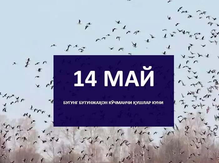 14 Мая праздник. 14 Мая календарь. Картинки 14 мая. 14 Мая день в истории. Время 14 мая