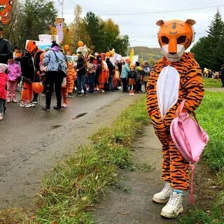 В каком крае проводится день тигра