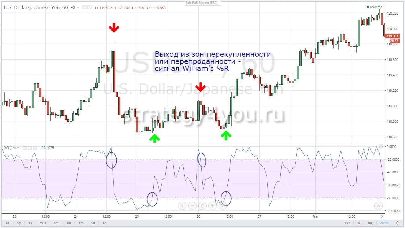 Процентный диапазон