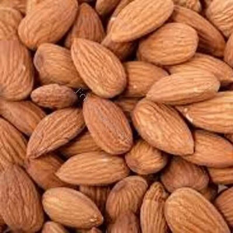 Косточка похожая на миндаль. Отличить миндаль от абрикосовой косточки. Абрикосовые орехи. Афганский миндаль. Саженцы миндаль амаретто.