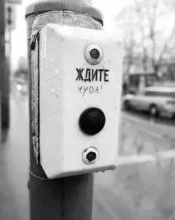 Тихий не жди