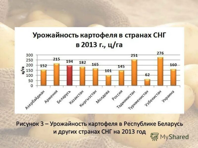 Сотка земли сколько картошки. Урожайность картошки с 1 гектара. Урожайность картофеля с 1 га в Сибири. Урожайность картофеля в странах СНГ. Урожайность картофеля с гектара.