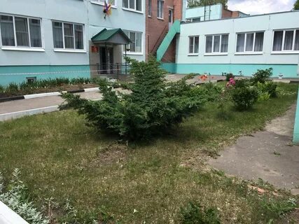 Детский сад 172 отзывы
